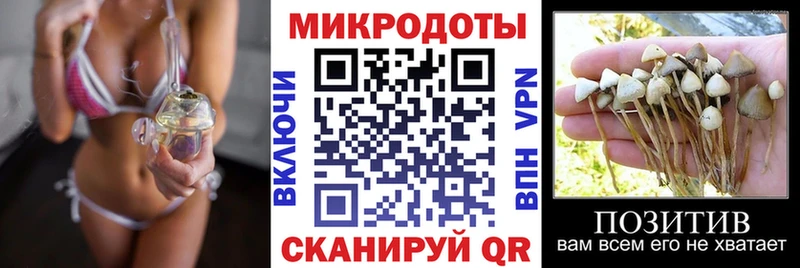 Псилоцибиновые грибы MAGIC MUSHROOMS  Нерюнгри 